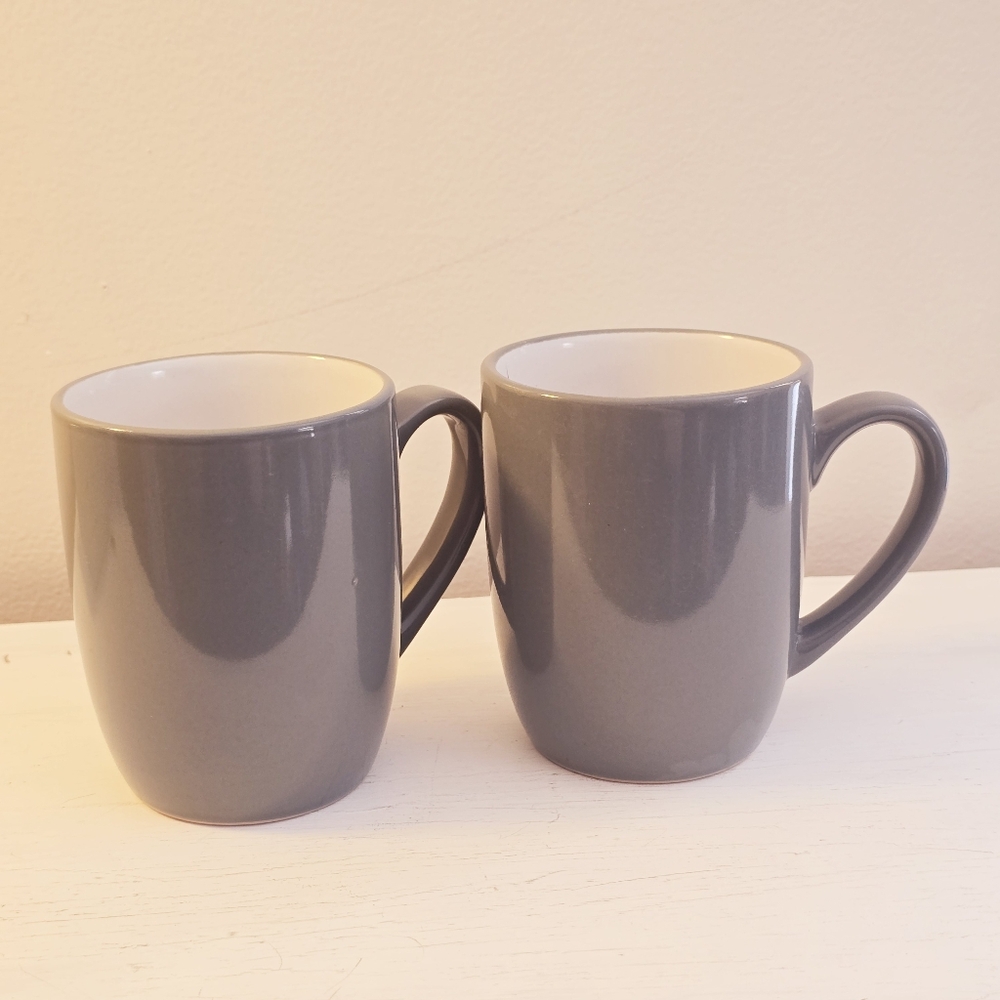 Royal Norfolk Matte Gray Dining Mugs with Rounded Shape Set of 2